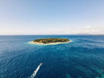 Delfine beobachten rund um Lošinj & Cres (2026)