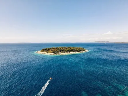 Delfine beobachten rund um Lošinj & Cres (2026)
