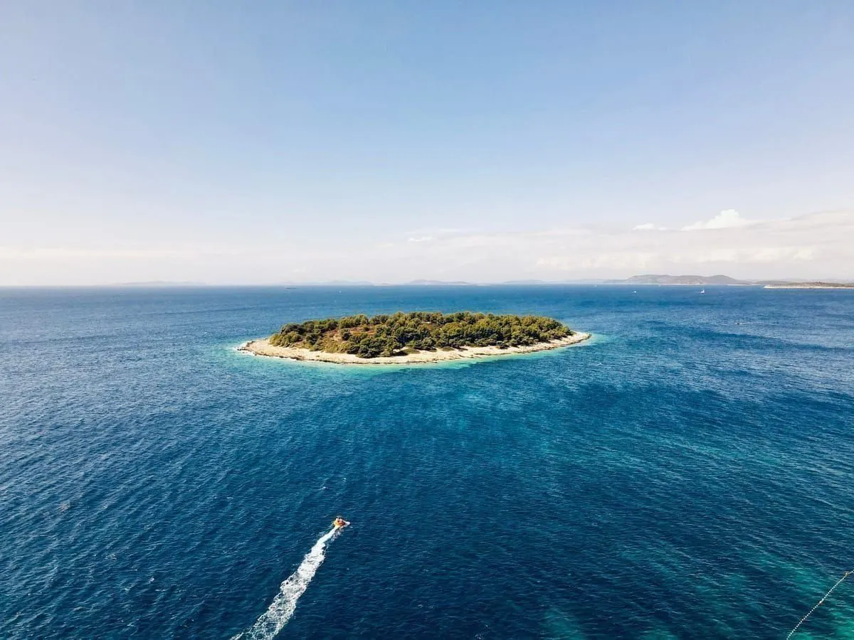 Delfine beobachten rund um Lošinj & Cres (2026)