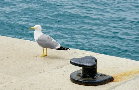 E-Bike in Kroatien: Verleih, Touren und die besten Strecken für Elektrofahrräder (2026)