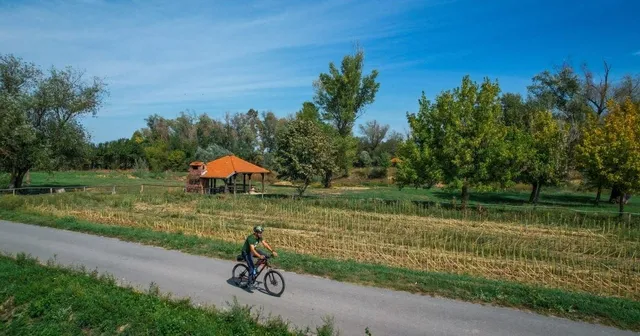Radfahrer auf einem Feldweg durch die slawonische Ebene
