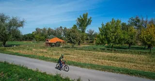 Radfahrer auf einem Feldweg durch die slawonische Ebene