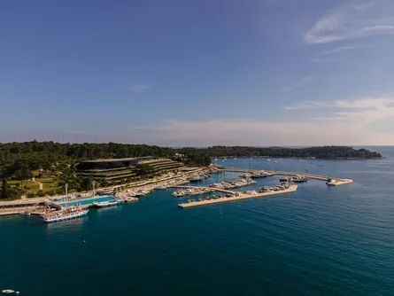 Trüffelsuche in Istrien: Mit Hund und Guide durch die Eichenwälder 2026