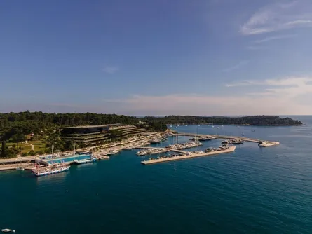 Trüffelsuche in Istrien: Mit Hund und Guide durch die Eichenwälder 2026