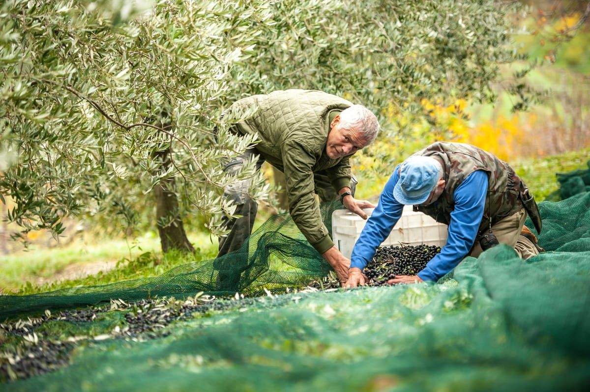 Agrotourismus Kroatien