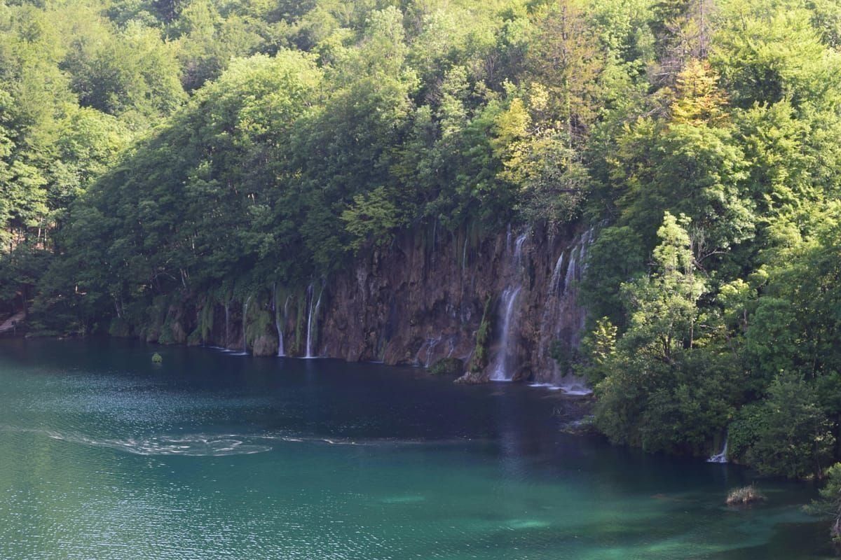 Waldpfad in der Umgebung der Plitvicer Seen mit dichtem Buchenwald