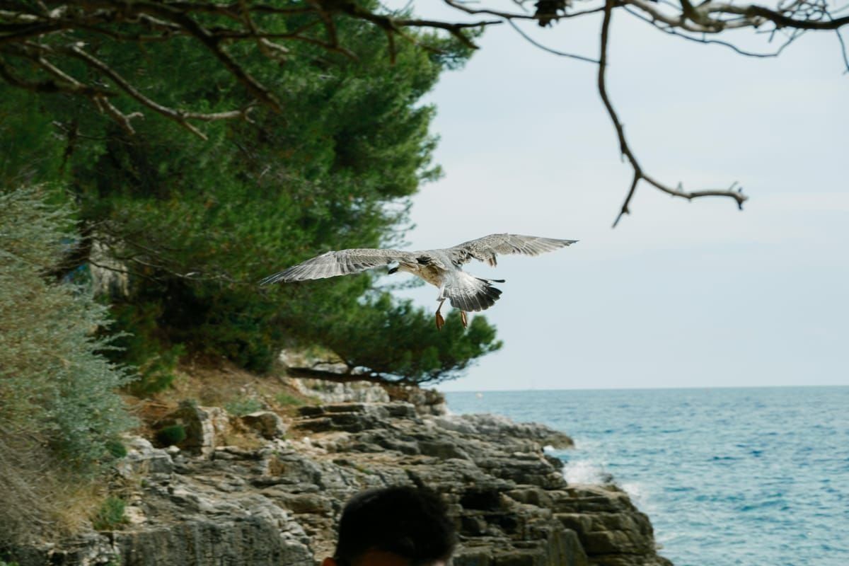 Ston Mauern Pelješac