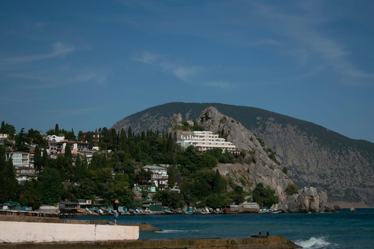 Olivenernte in Istrien