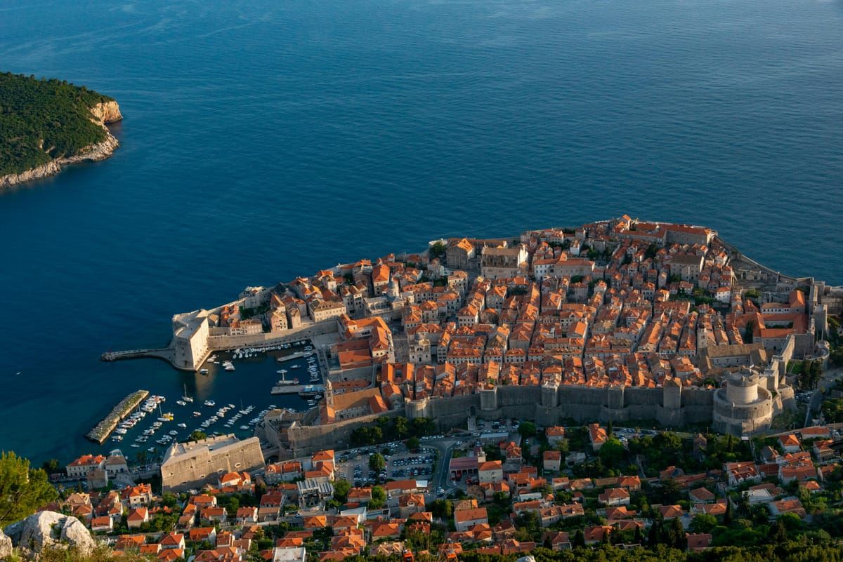 Hund mit EU-Heimtierausweis