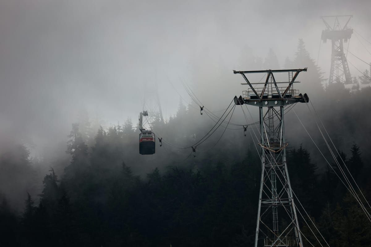 Hund badet im Meer in Istrien