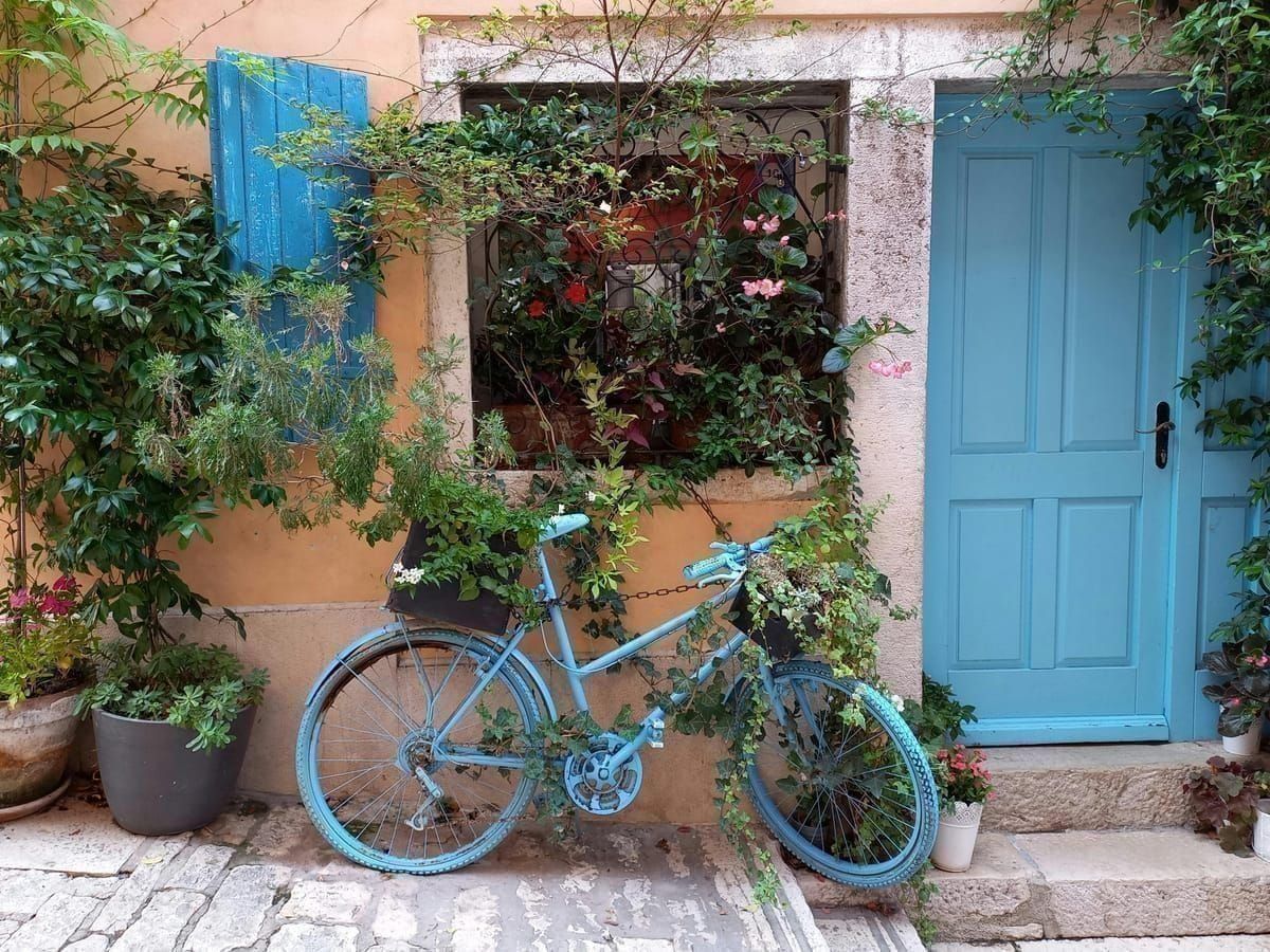 Trüffelsuche Istrien