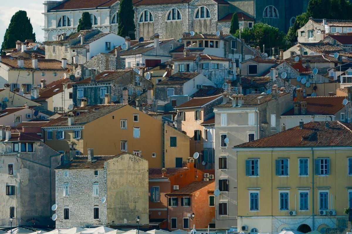 Olivenöl Verkostung