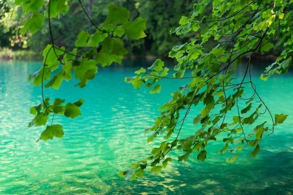 Plitvice Holzstege über türkisem Wasser