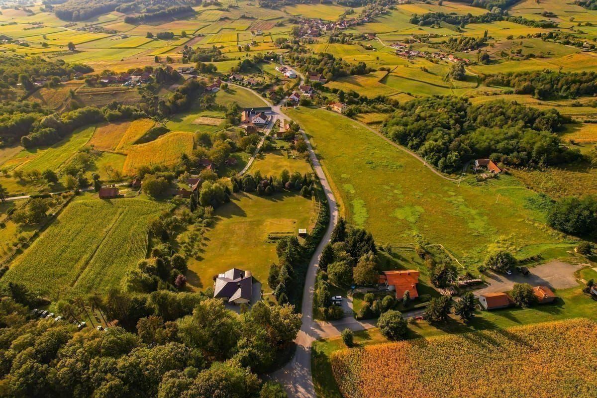 Primošten Weinberge