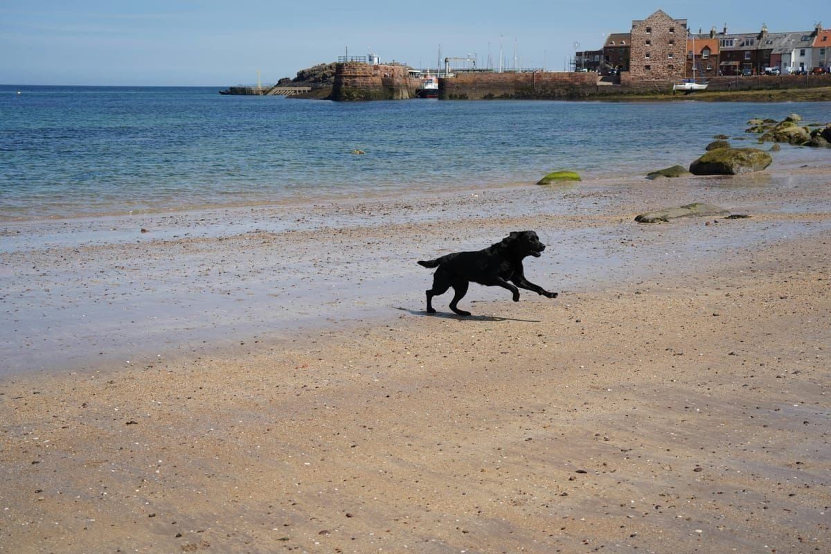 Familie am Fährhafen von Ugljan