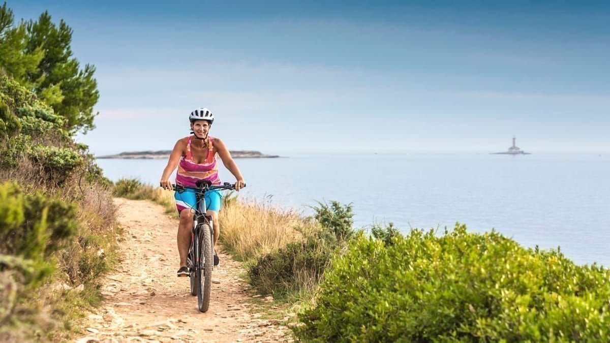 Blick auf istrische Weinberge und Bergdorf