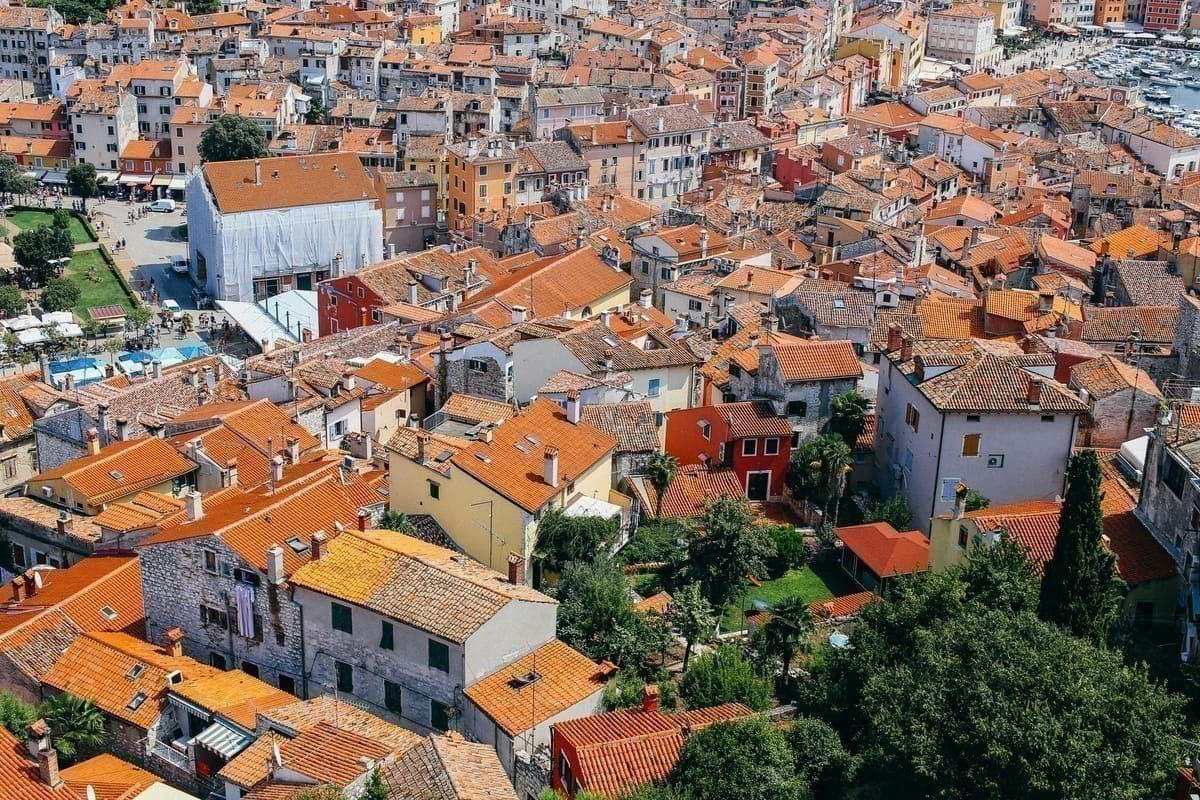 Radfahrer durch Olivenhain in Istrien