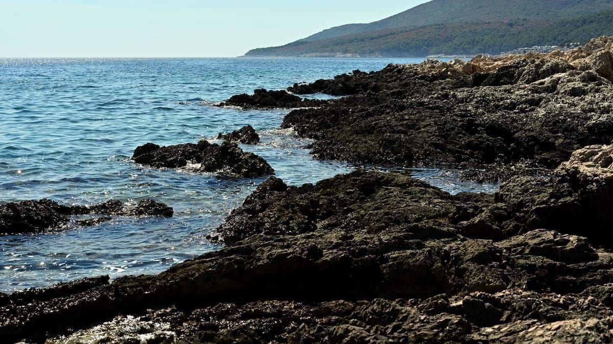 Trockene Sommerwiese mit Steinmauern im kroatischen Hinterland