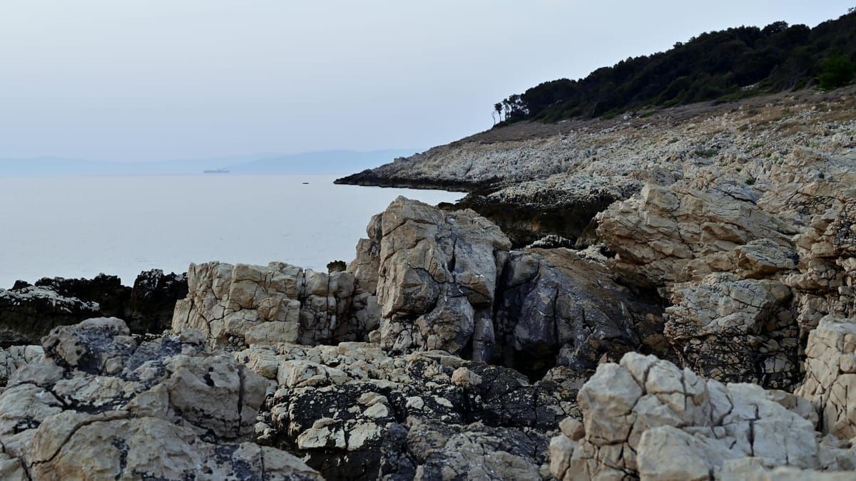 Gruppe von Kollegen lacht gemeinsam an einem Steg an der kroatischen Küste