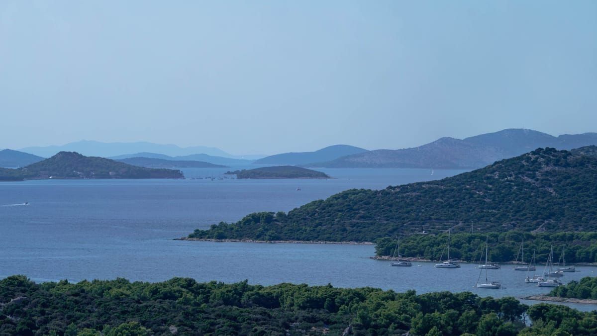 Trockene mediterrane Pinienlandschaft im Sommer in Kroatien