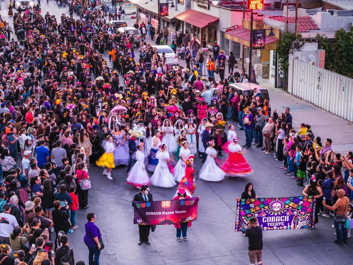 Zadar Meeresorgel bei Nacht