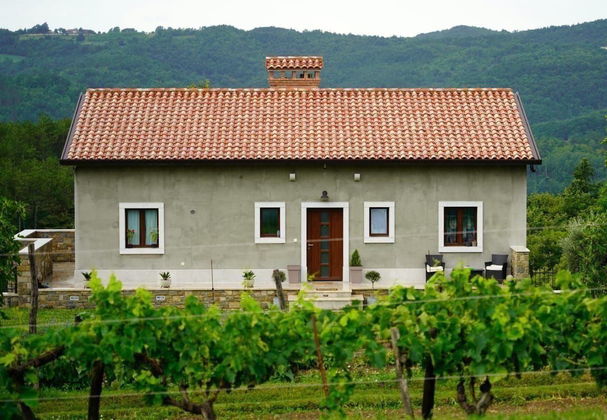 Weingut in Slavonien mit Radfahrer