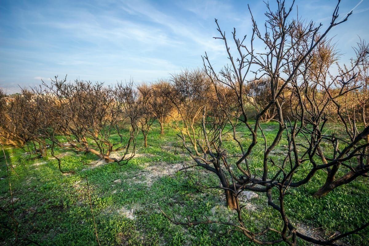 Split City Parking Garage