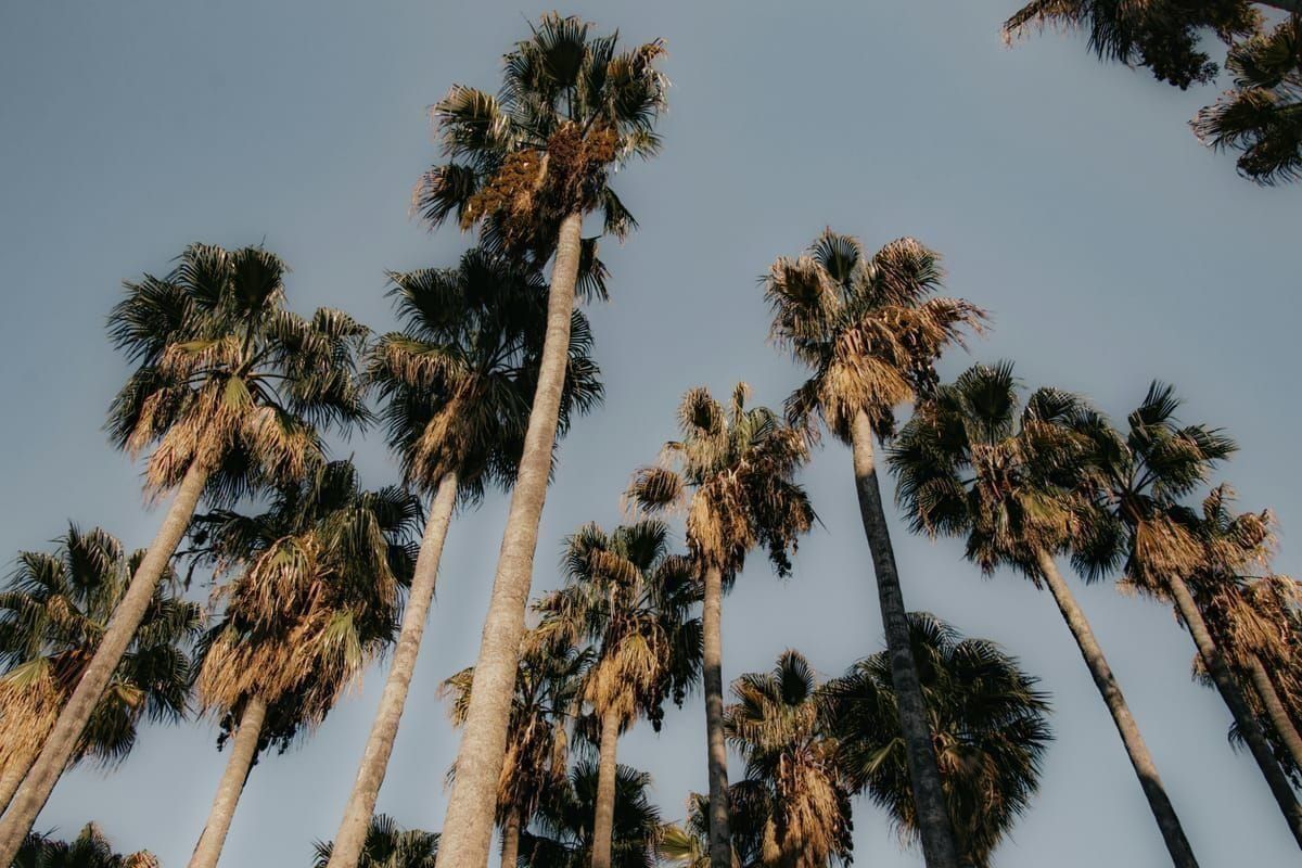 Stiniva Bucht auf Vis von den Klippen