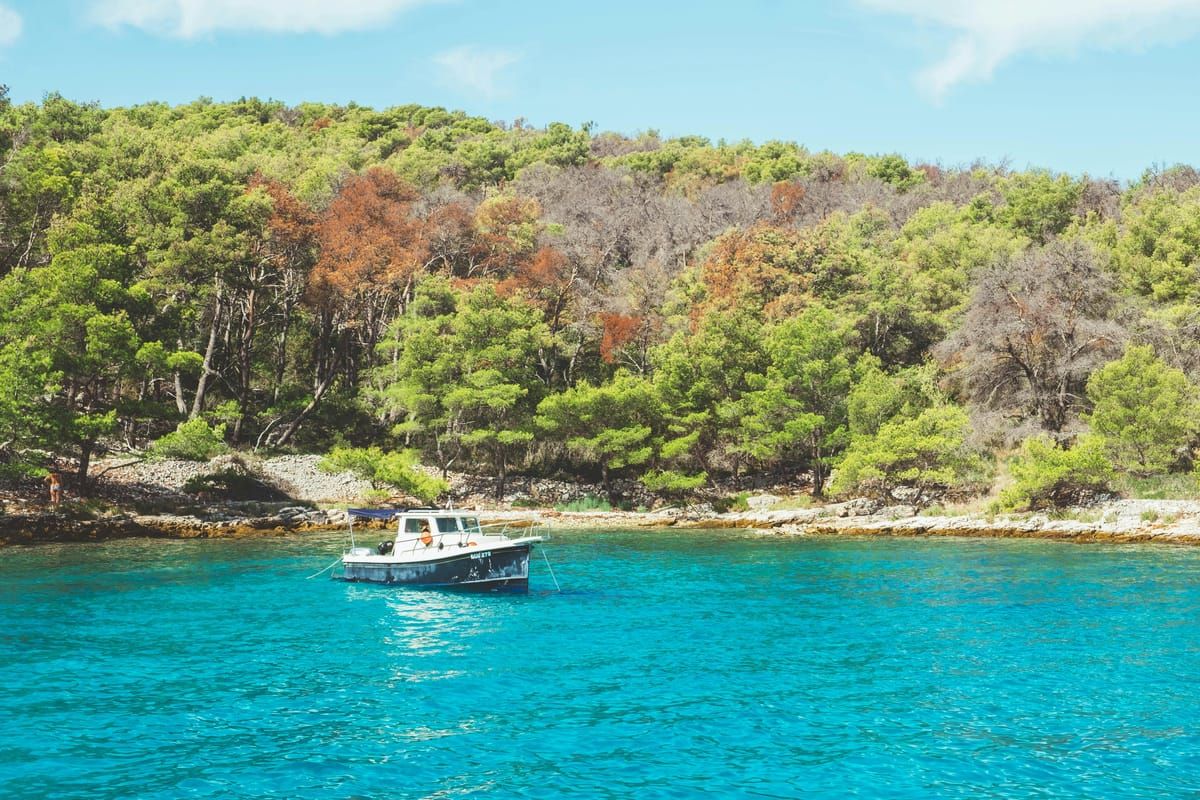 Türkisblaues Wasser in einer dalmatinischen Bucht