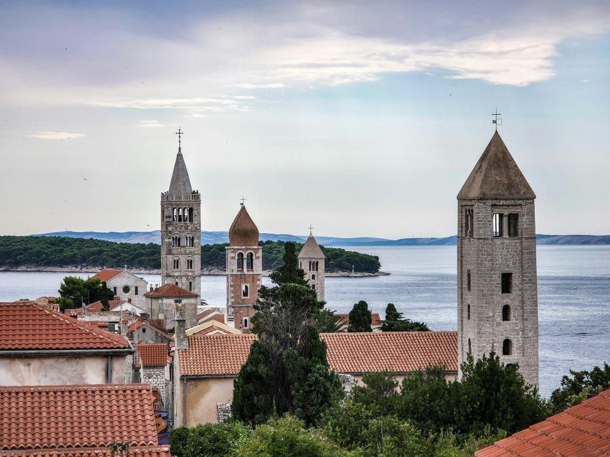Trüffelhund bei der Arbeit