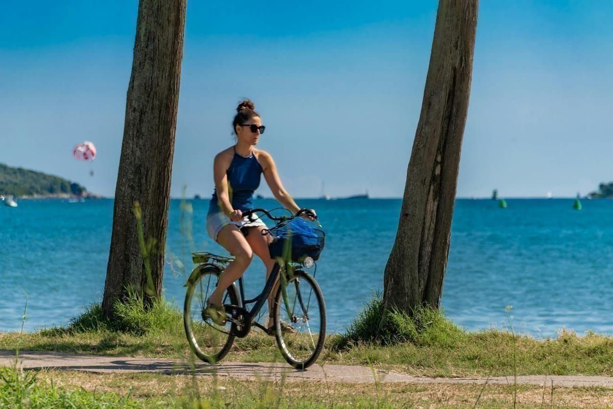 Radfahren Pelješac Weinberge