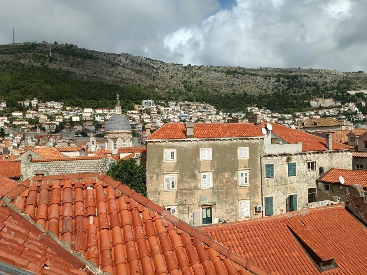 Lonjsko Polje Störche